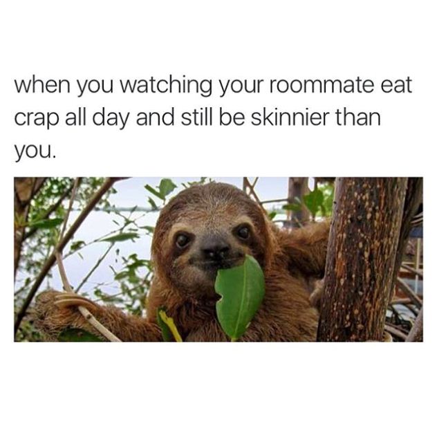 "כשאת רואה את השותפה שלך לדירה אוכלת שטויות כל היום ועדיין רזה יותר ממך" (צילום: אינסטגרם shitmodelmgmt)