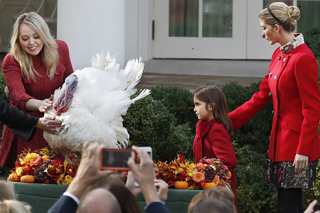 תרנגול, זה יום המזל שלך (צילום: AP Photo/Jacquelyn Martin)
