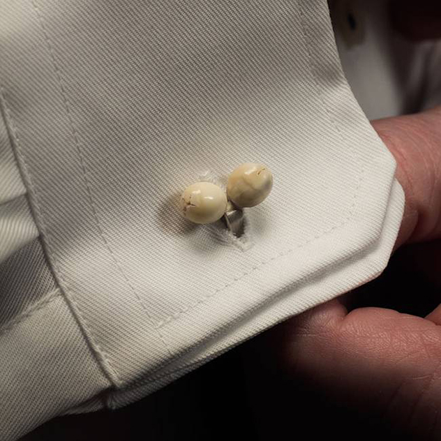 השיניים רכות יותר מאבנים בטבע (צילום: Matan Bellemakers)