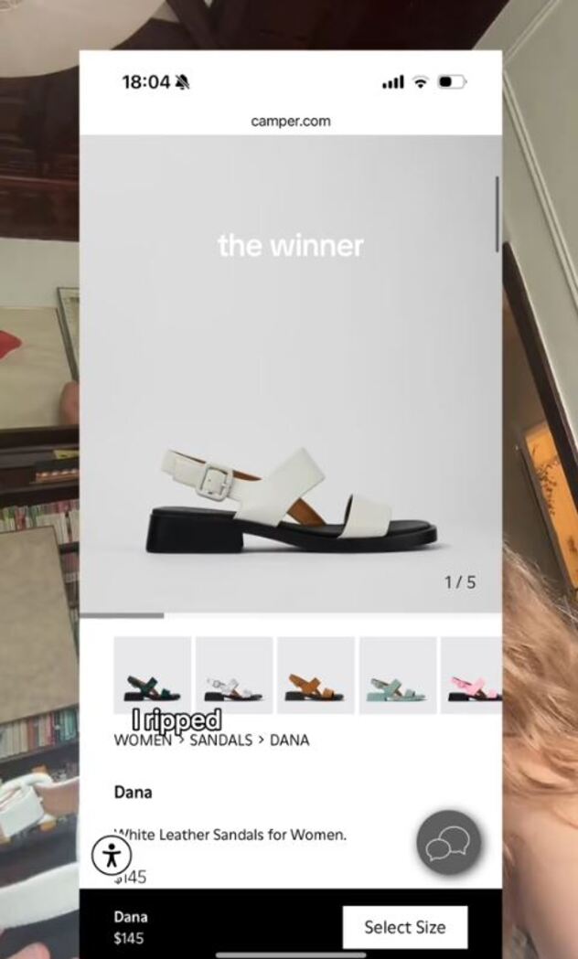 אפשר ללכת איתן יום שלם (צילום: טיקטוק, there_y0u_are)