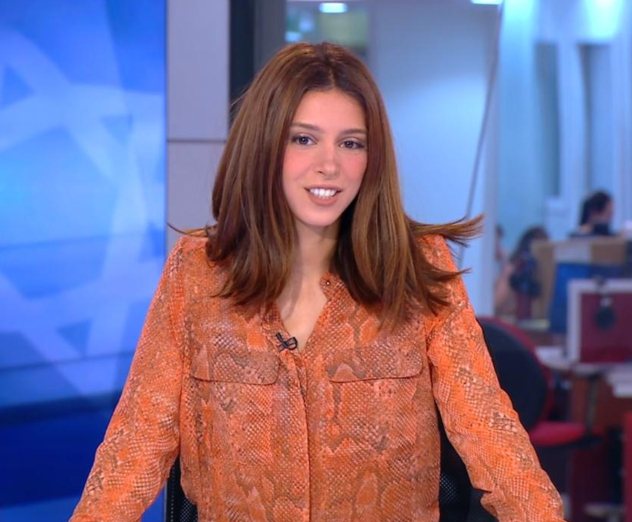 מה מסתתדר מתחת לשולחן? (צילום מסך)