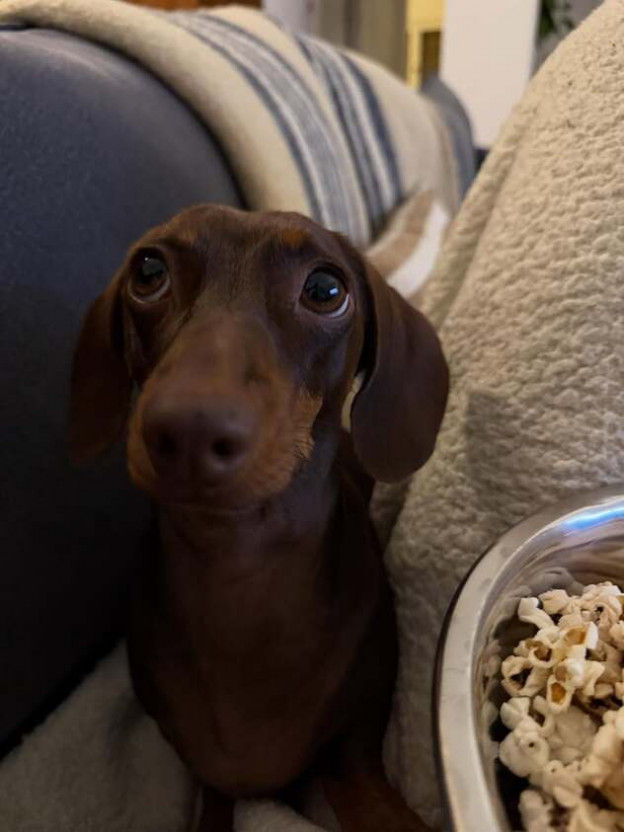 את הכי יפה בלי בגדים. הכלה מאצ'ה שכבר הפכה למותג בעצמה (צילום: Maja Kravarusic אינסטגרם)