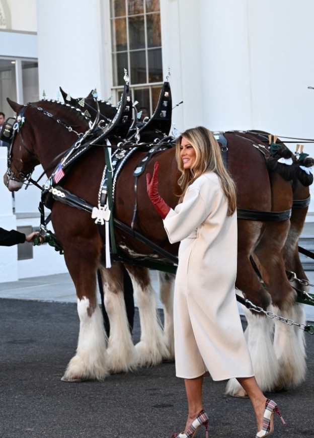 לא נרגענו מהנעליים (צילום: Alex WROBLEWSKI לגטי אימג'ס)