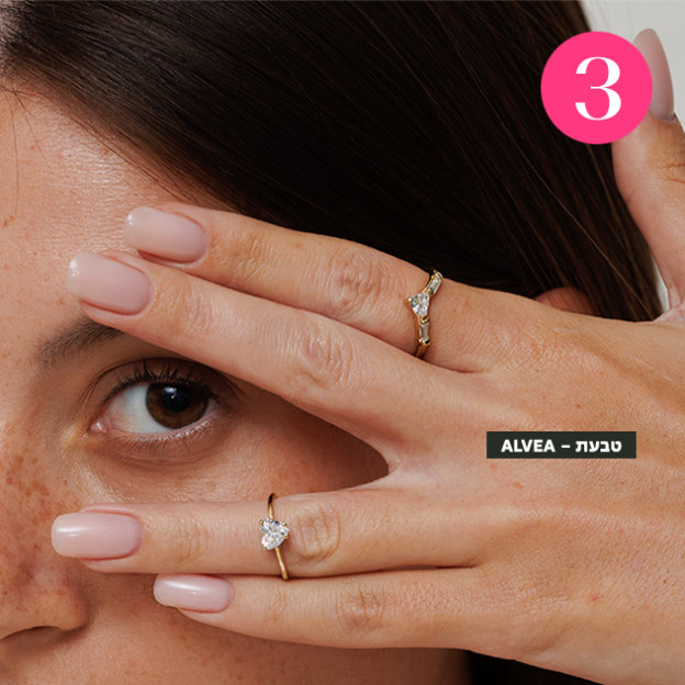 (צילום: עופר חן)