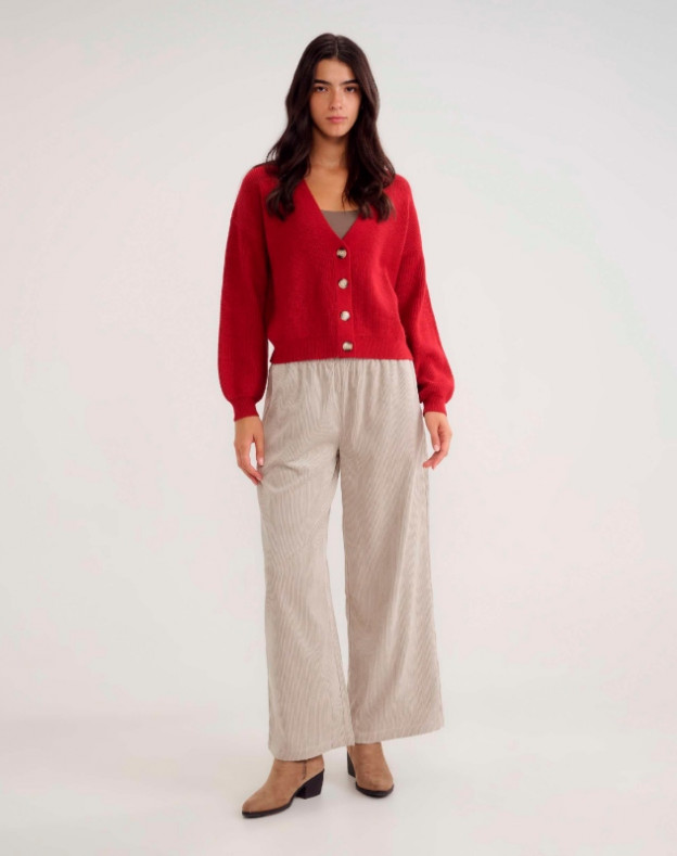 הודיס, 169.90 שקלים (צילום: חיים כהן)