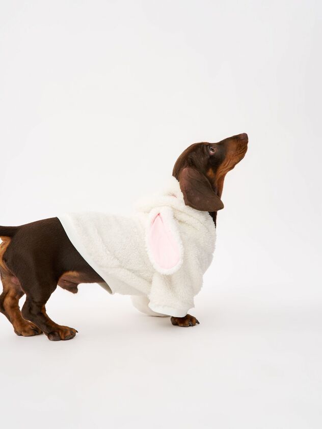 פיקס (צילום: מתוך האתר הרשמי)