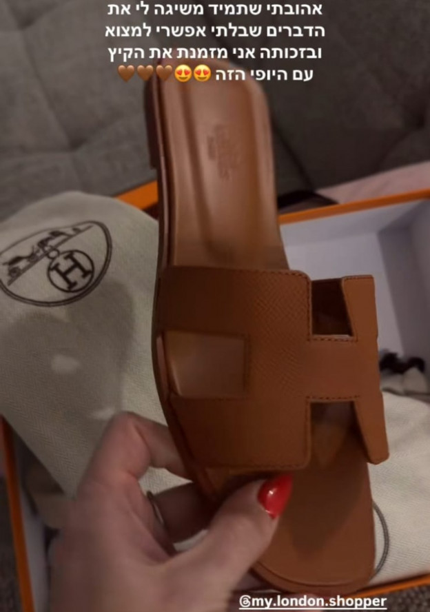 טיילור מלכוב