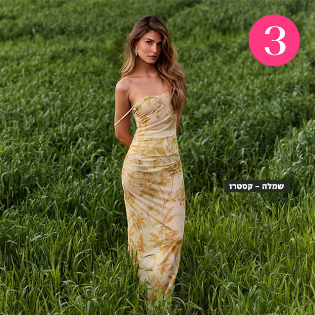 (צילום: עמית מאוזר)