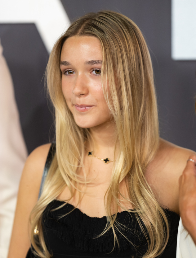 לקחה יוזמה (צילום: Samir Hussein/WireImage)