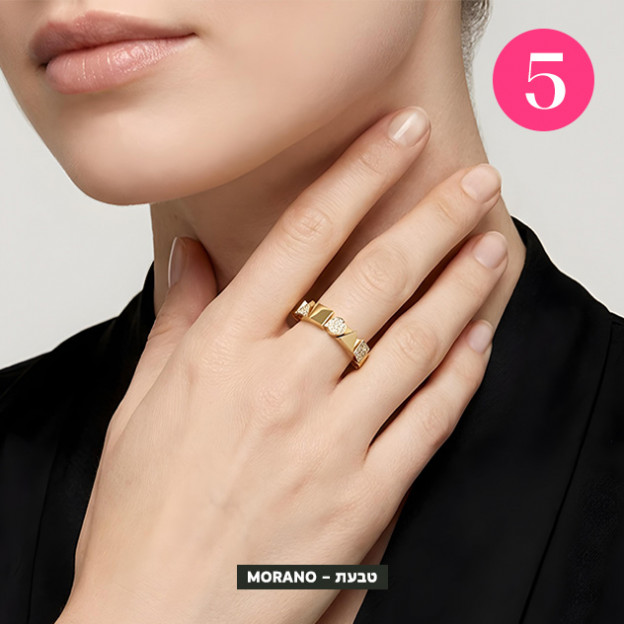 (צילום: יחצ)