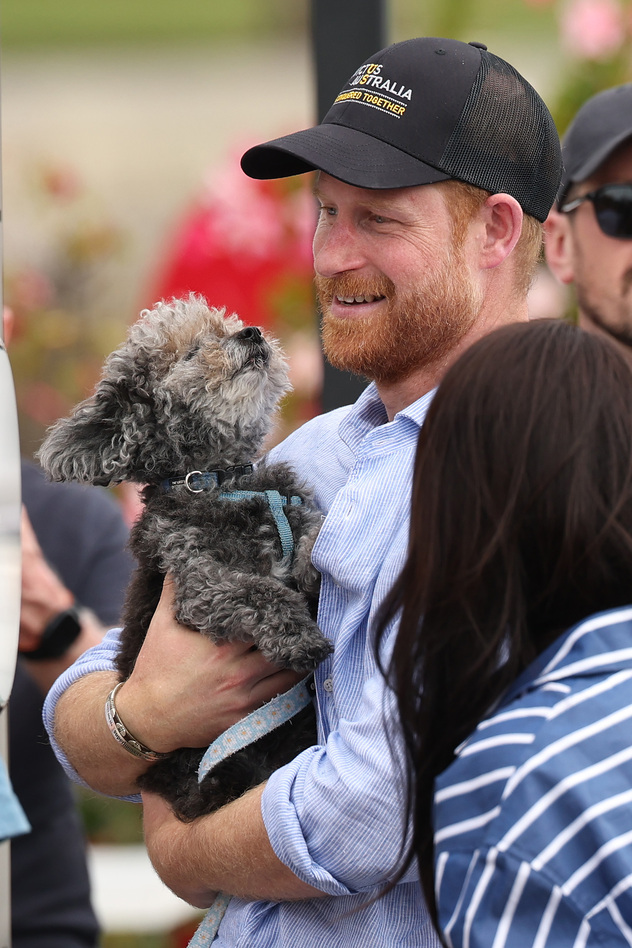 הוא בסך הכל רצה חטיף (צילום: Cameron Spencer/Getty Images)