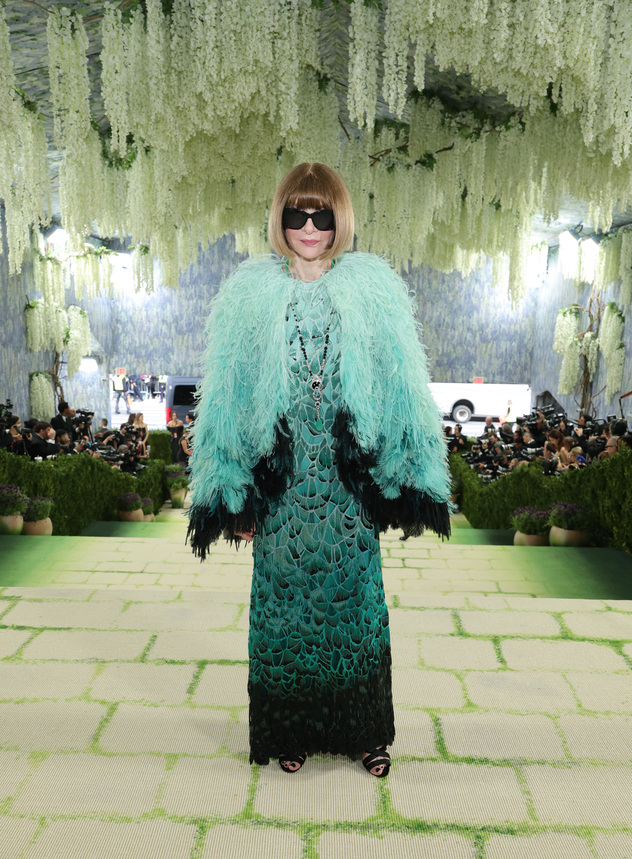 אנה וינטור (צילום: Kevin Mazur/MG26/Getty Images for The Met Museum/Vogue)